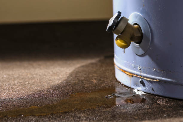 Best Sewage cleanup and water damage restoration  in Sebring, OH