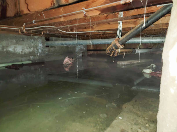  Sebring, OH Water damage restoration Pros