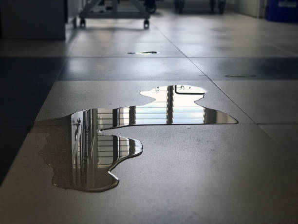 Best 24/7 water damage repair  in Sebring, OH
